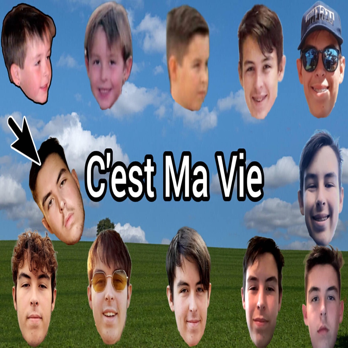 C'est Ma Vie - Single by BigT album cover