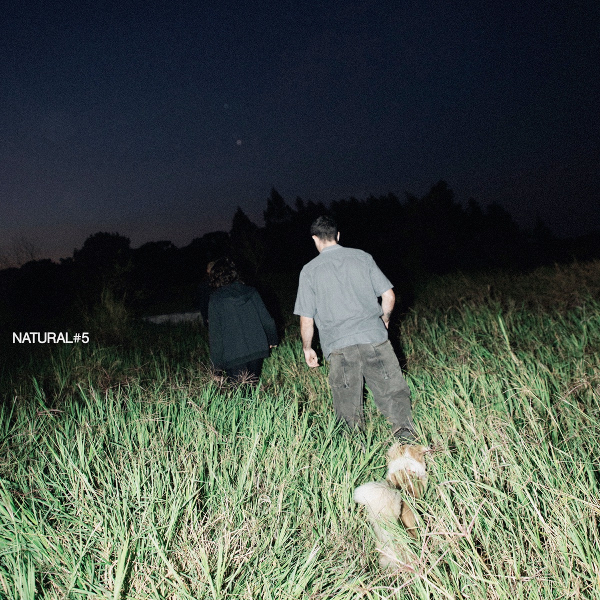 Natural #5 (feat. N.I.K.O.) - Single by Resp & 3.X. album cover