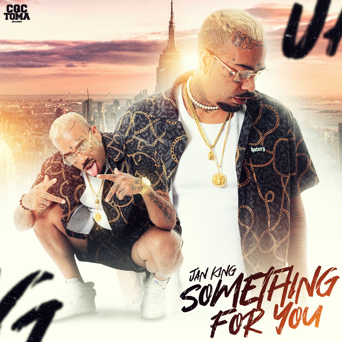 Something For You - Single by Jan King & Torvylone album cover