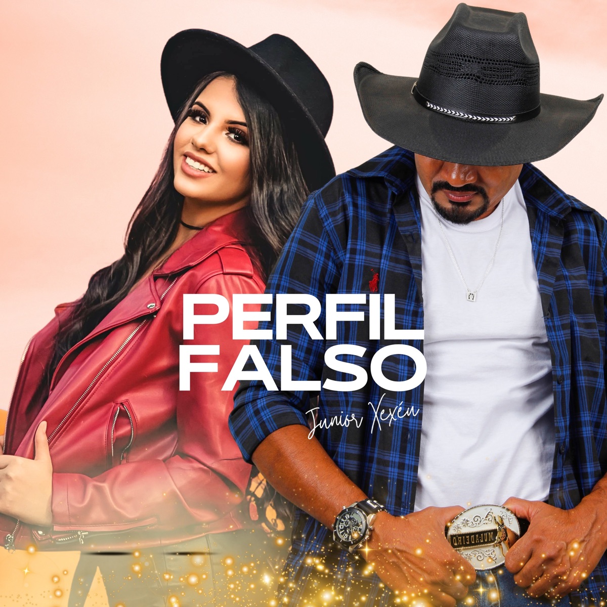 Perfil Falso - Single by Junior Xexéu album cover