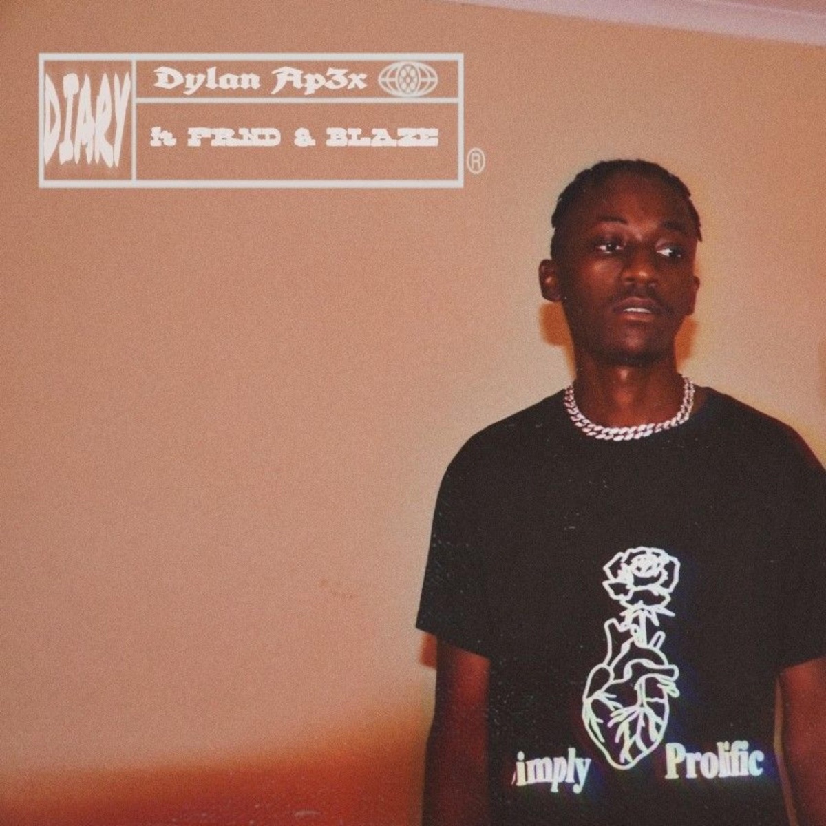 Diary (feat. FRND & B l a z e_ Zw) - Single by Dylan Ap3x album cover