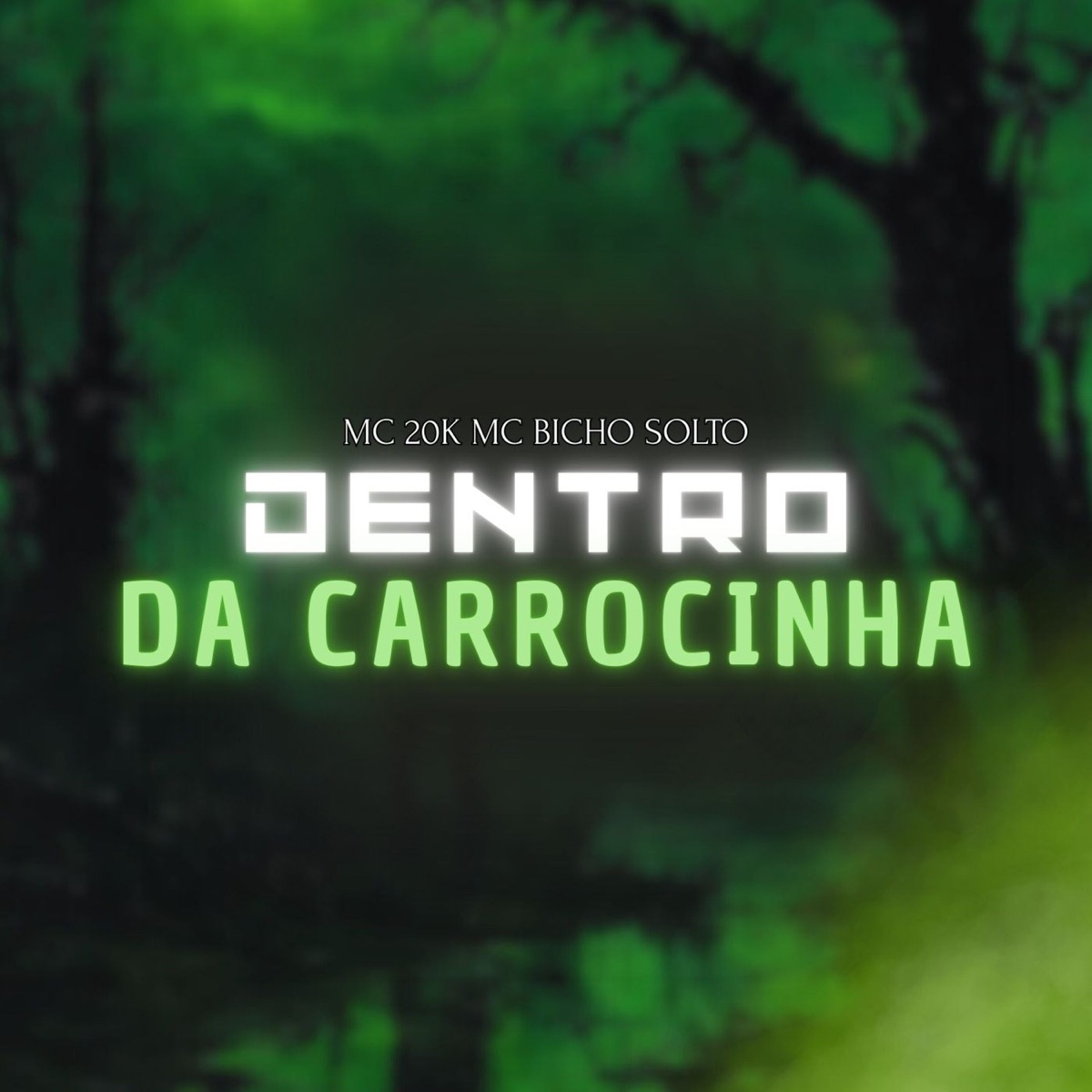 Dentro da Carrocinha - Single by MC 20K & MC Bicho Solto album cover