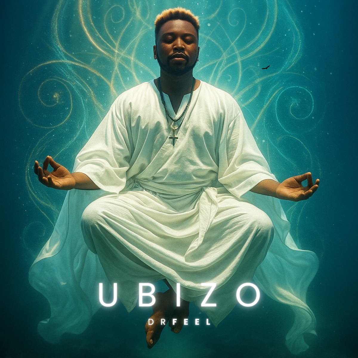 Ubizo by Dr Feel album cover
