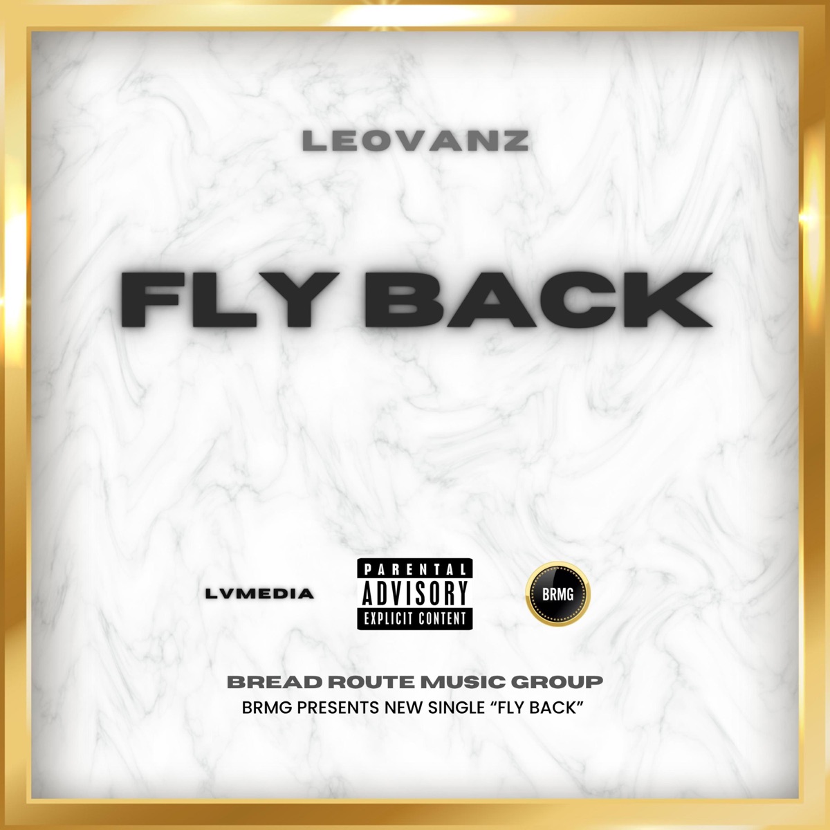 Fly Back - Single by Leovanz album cover