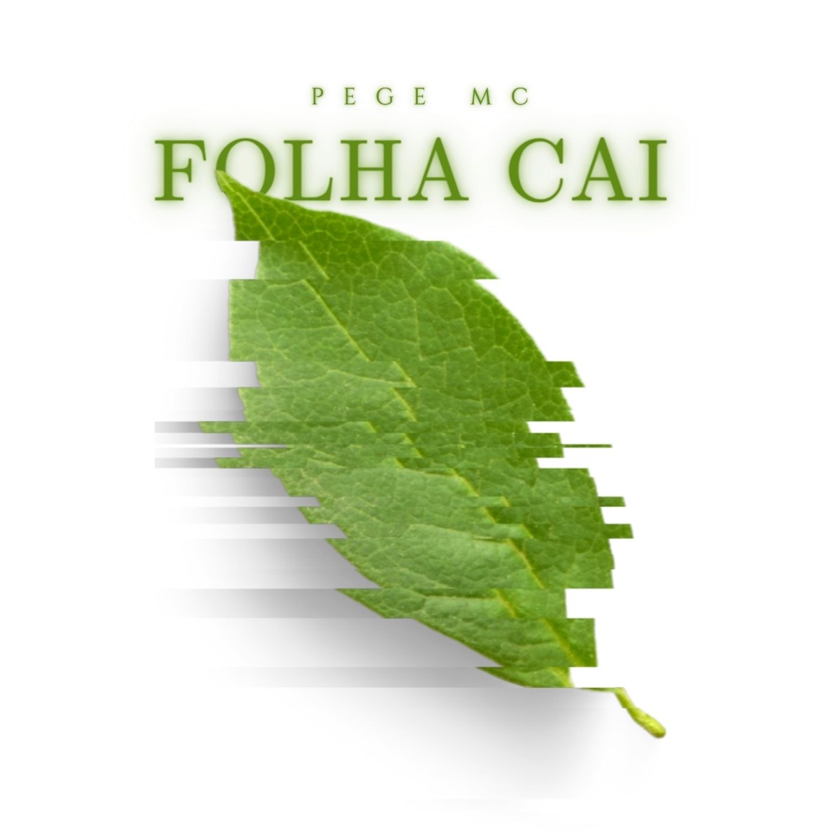 Folha Cai - Single by MOB ADCM, PEGE MC & Kashi BeatZ album cover