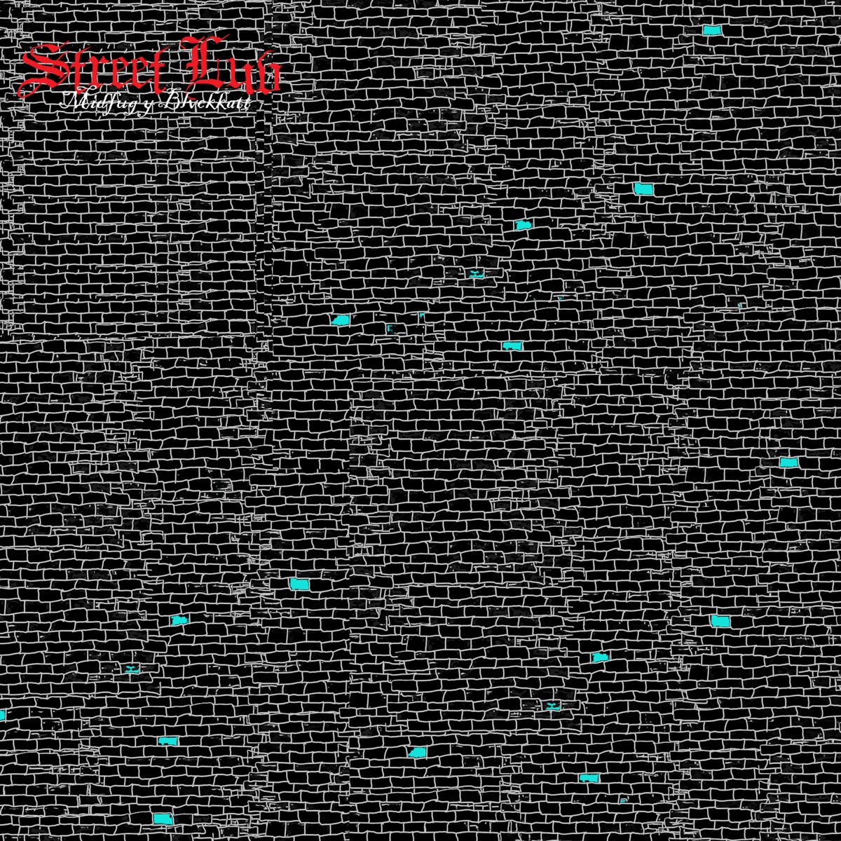 Street Luv - Single by Midfug & Blvckkatt album cover