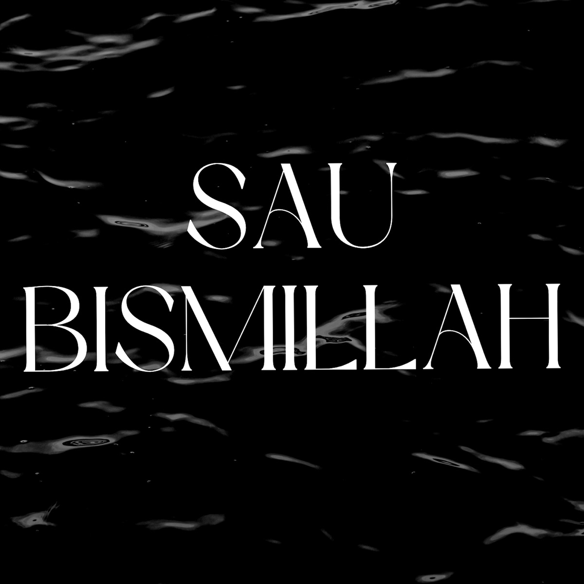 Sau Bismillah - Single by Anirudh Bhola & Vipul Mehta album cover
