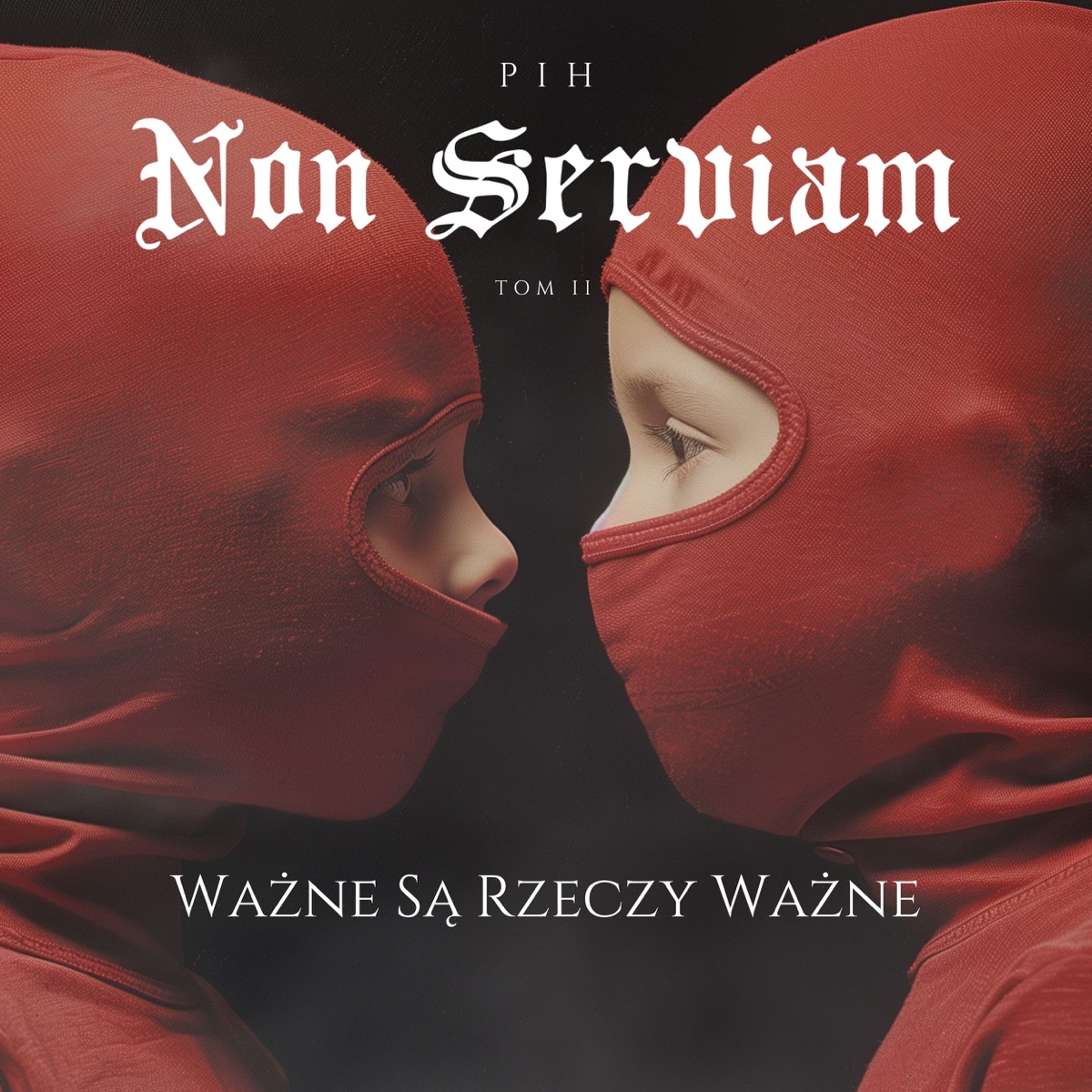 Non Serviam Tom II / Ważne Są Rzeczy Ważne by PIH album cover