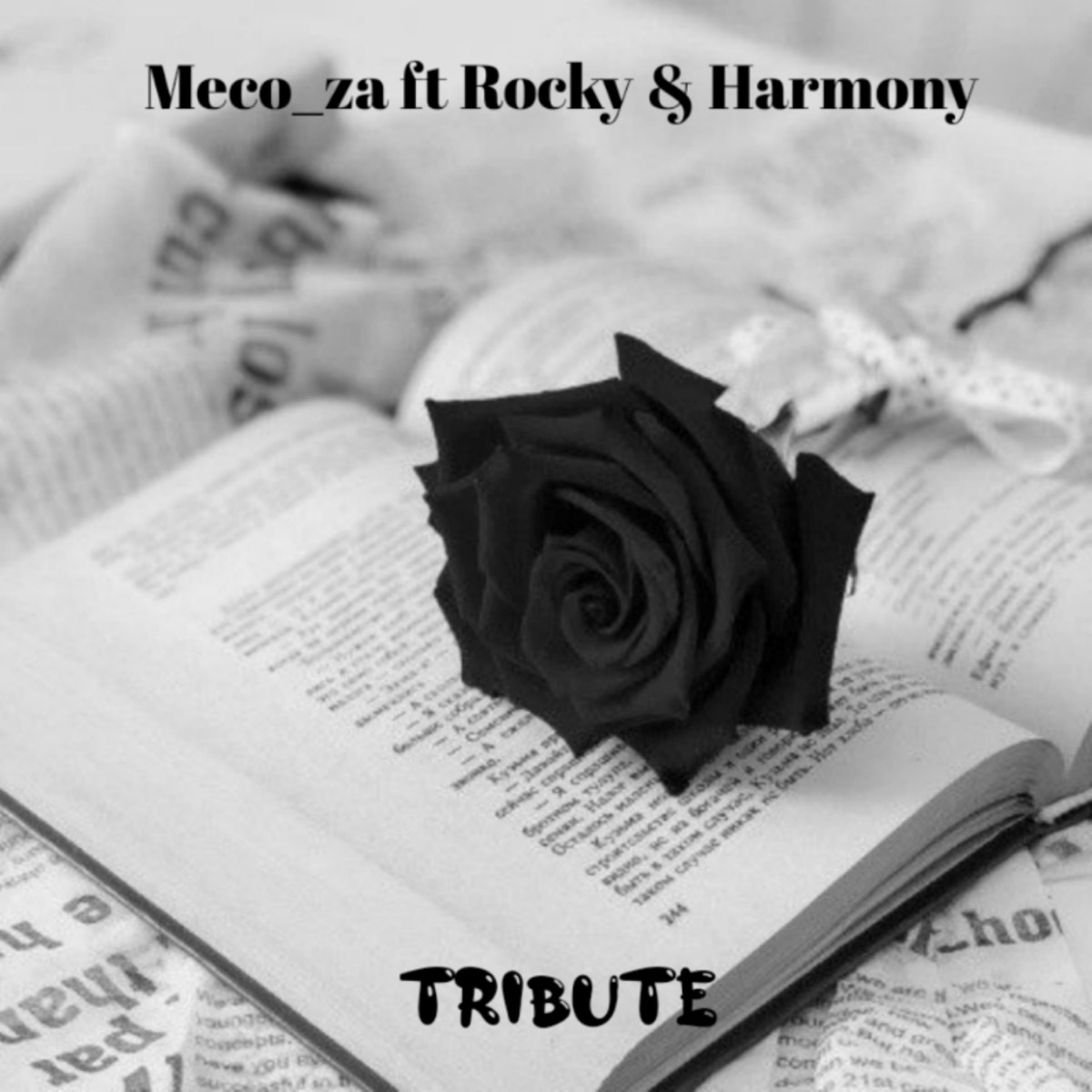 Tribute (feat. Harmony Skade & Rocky) - Single by Meco_za album cover