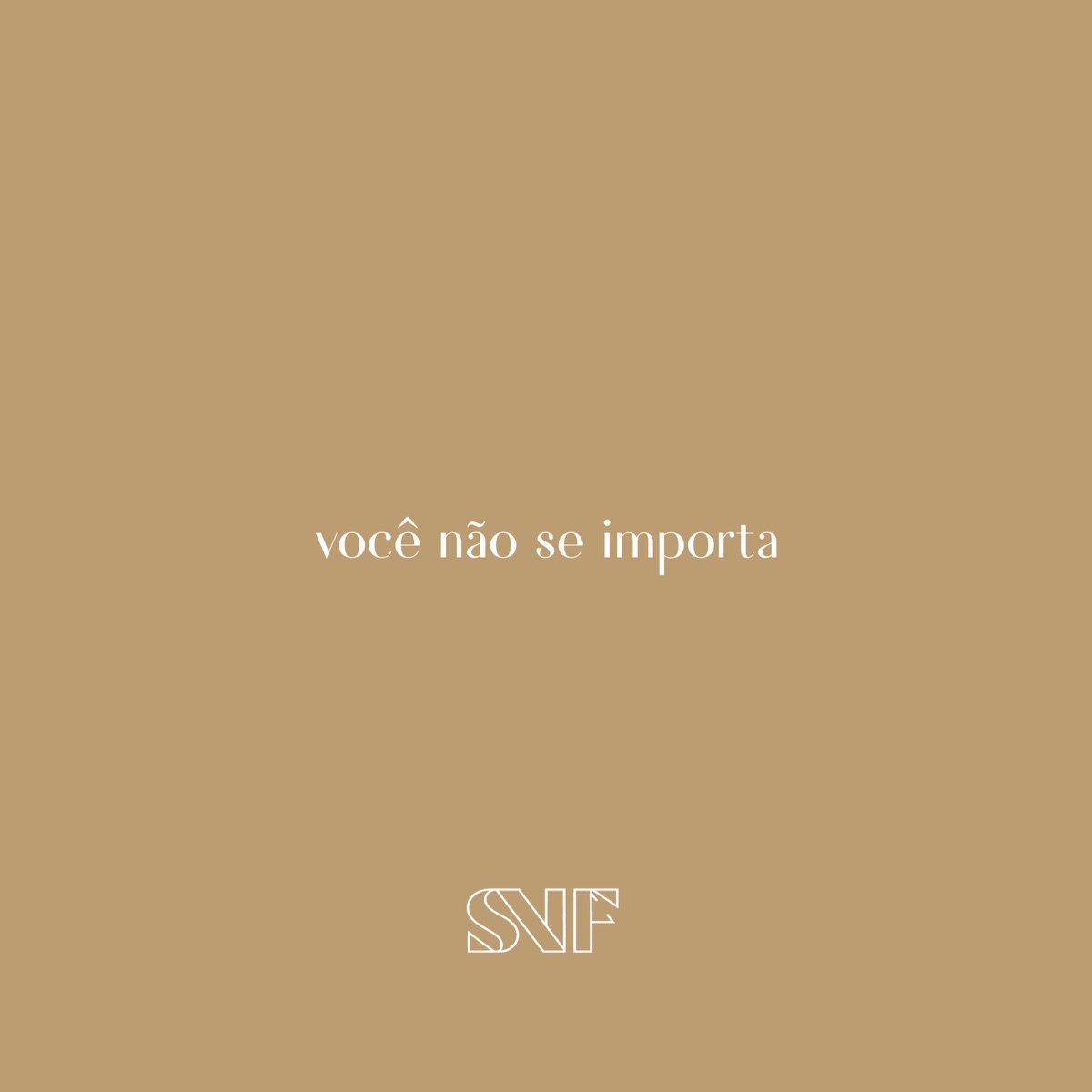 Você não se importa - Single by SNIF album cover