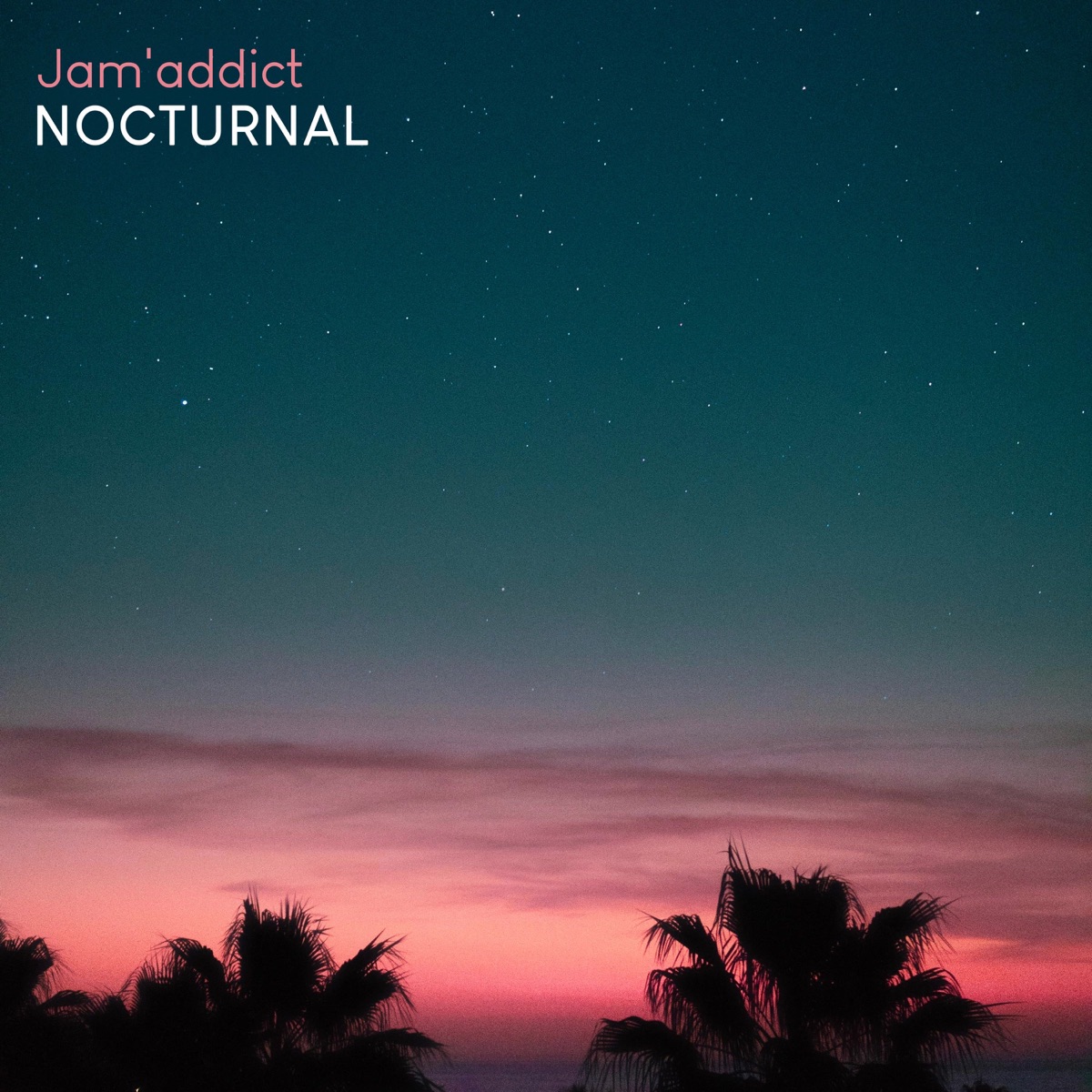 Nocturnal - Single by Jam'addict album cover