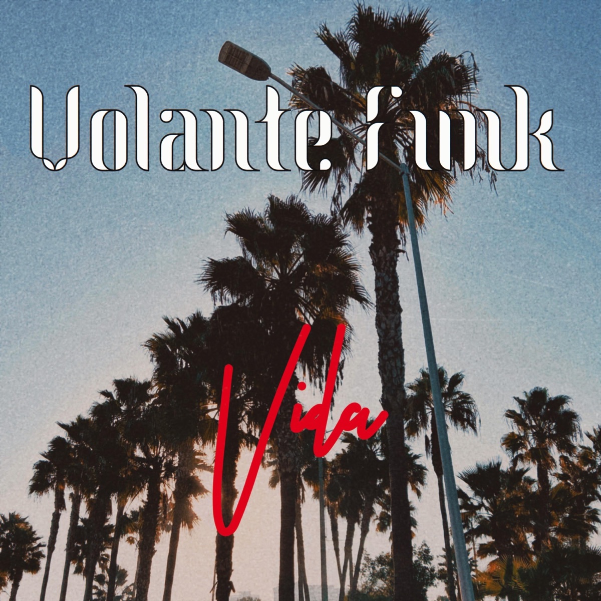 Vida (feat. Radix Borealis & DJ Hechizo) - Single by Volante Funk album cover
