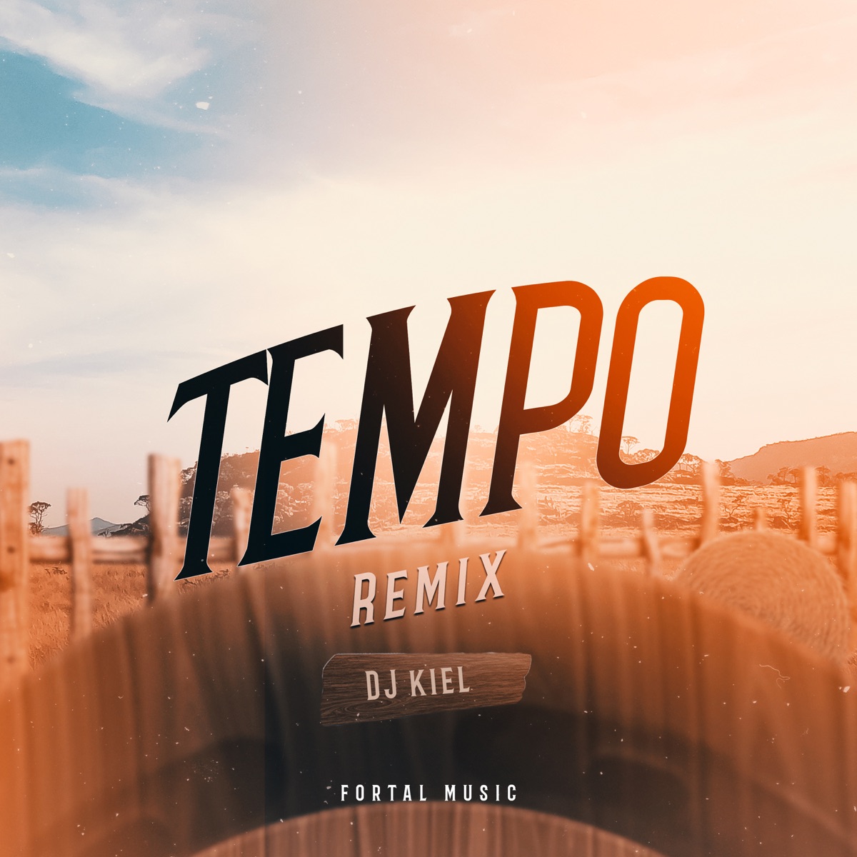 Tempo (feat. Kayblack) [Remix] - Single by Dj Kiel album cover