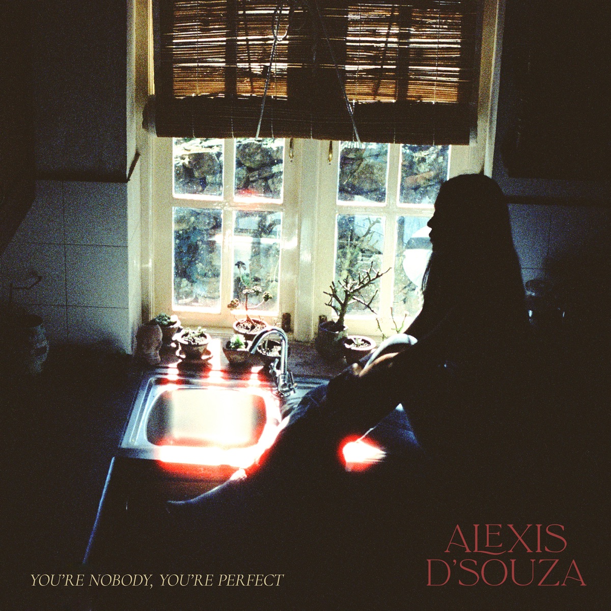 You're Nobody, You're Perfect by Alexis D'Souza album cover