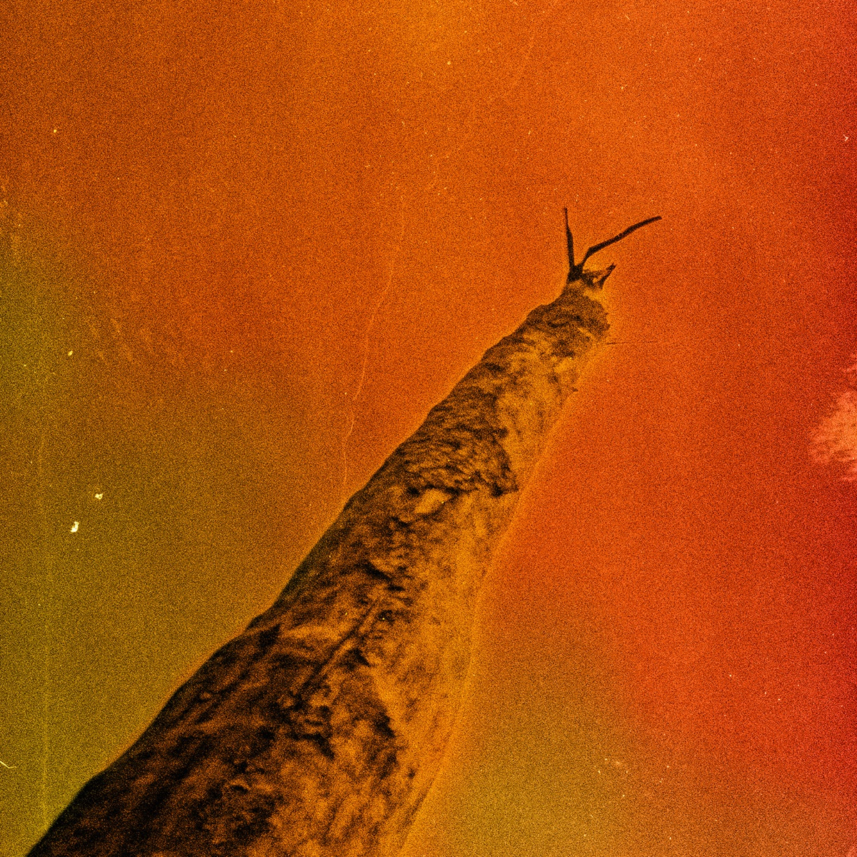 SIHR by Frederic D. Oberland, Grégory Dargent, Tony Elieh & Wassim Halal album cover