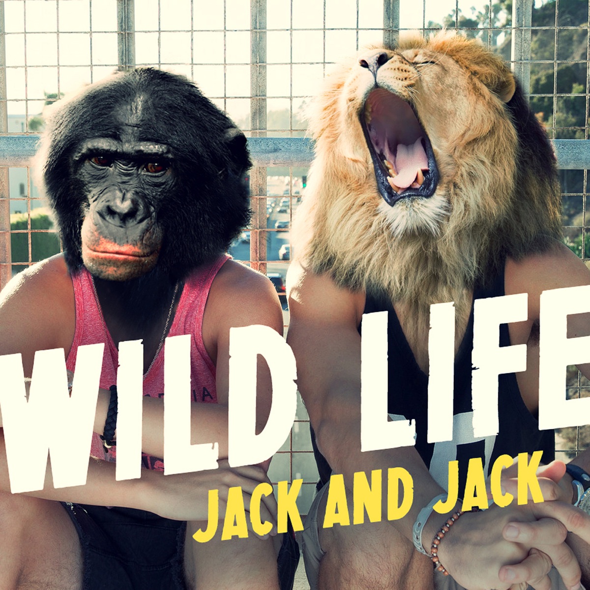 Wild Life - Single by Jack & Jack album cover
