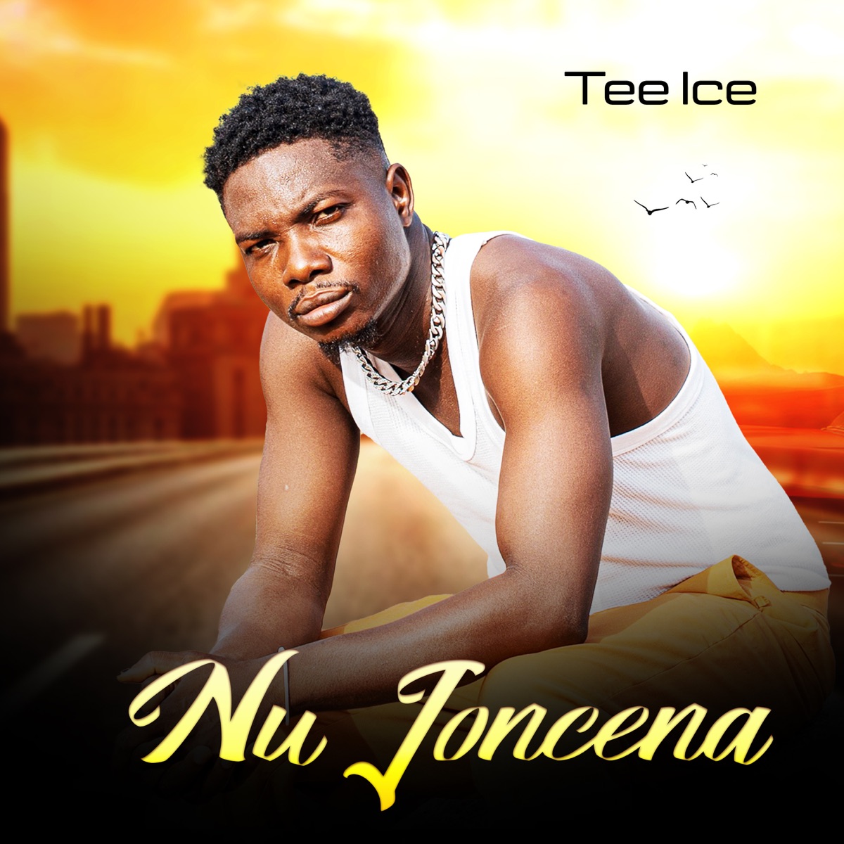 Nu Joncena - Single by Tee Ice album cover