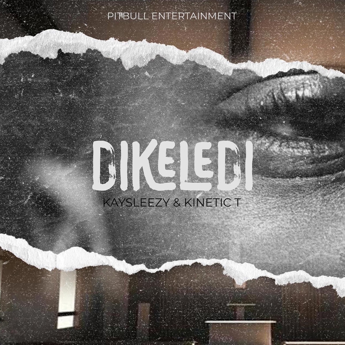 Dikeledi - Single by Kinetic T & Kay Sleezy album cover