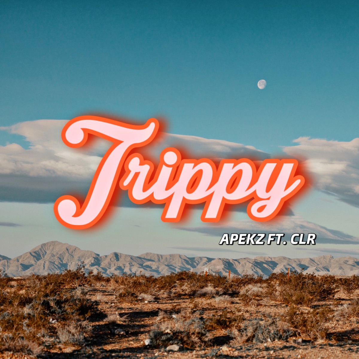TRIPPY (feat. CLR) - Single by Apekz album cover