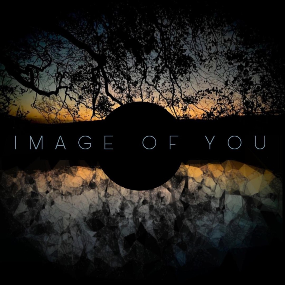 image of you - Single by scarlett reid & Barnaby album cover