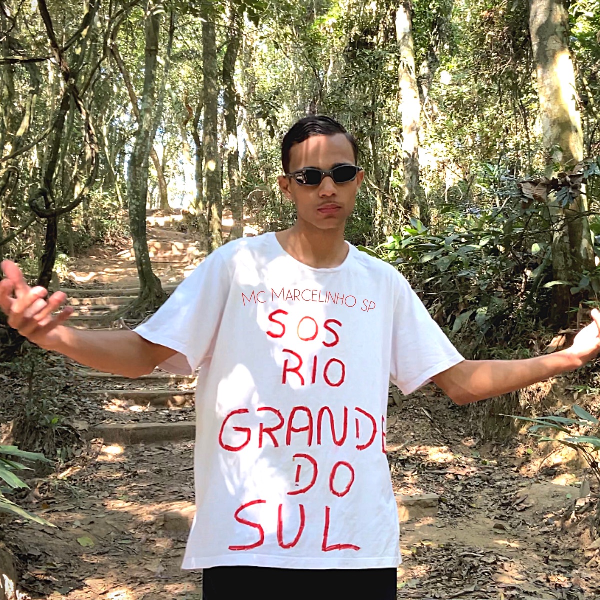 S.O.S Rio Grande do Sul - Single by MC Marcelinho SP album cover