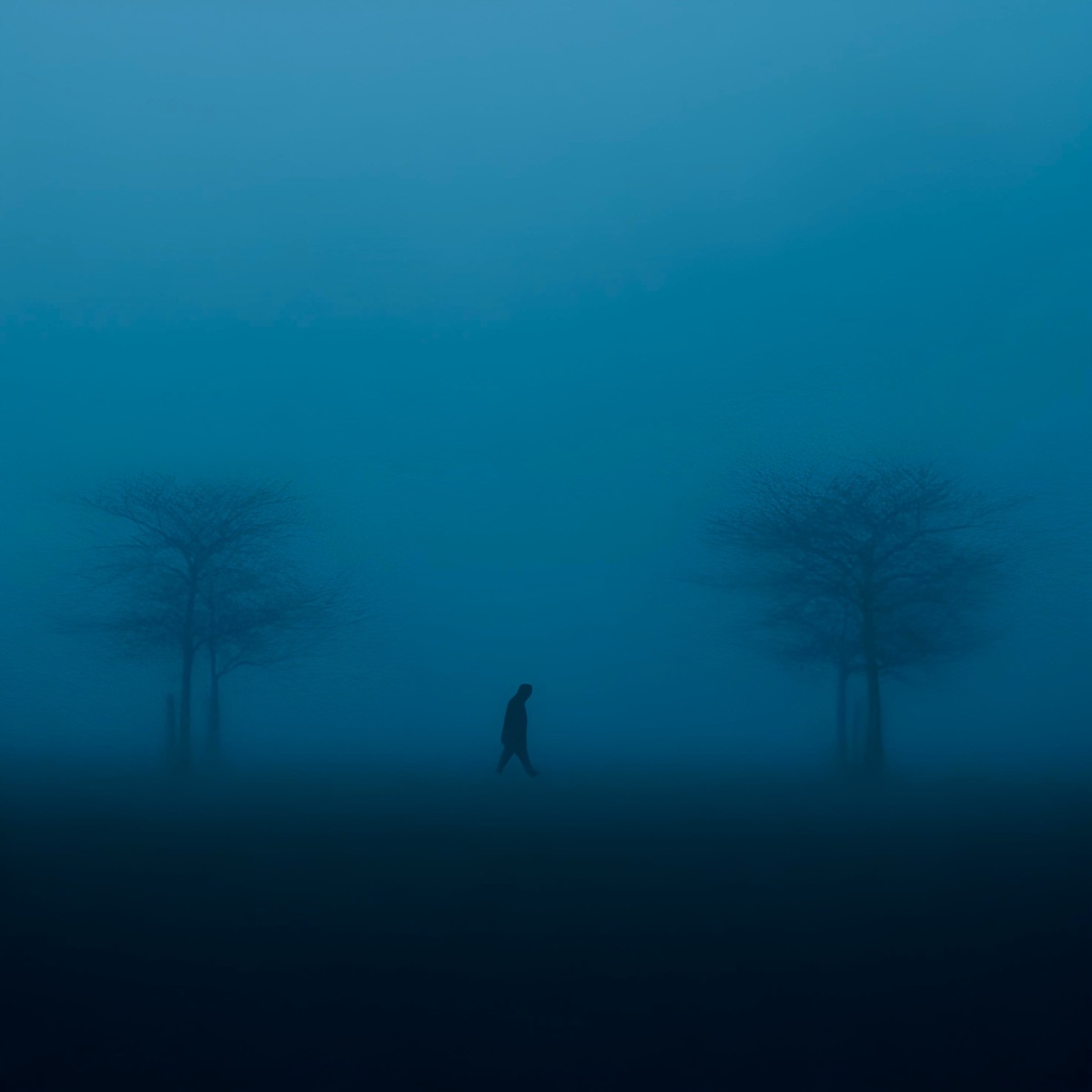 Felicity (Slowed) - Single by Azizphonk album cover
