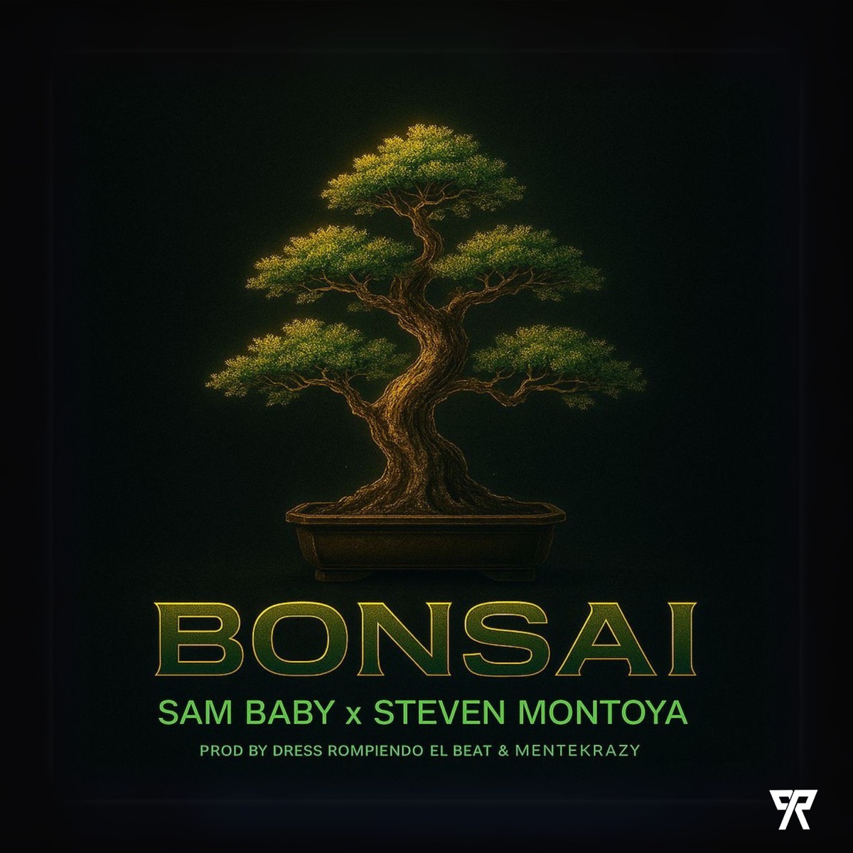 BONSAI - Single by Sam Baby, Steven Montoya & DressRB album cover