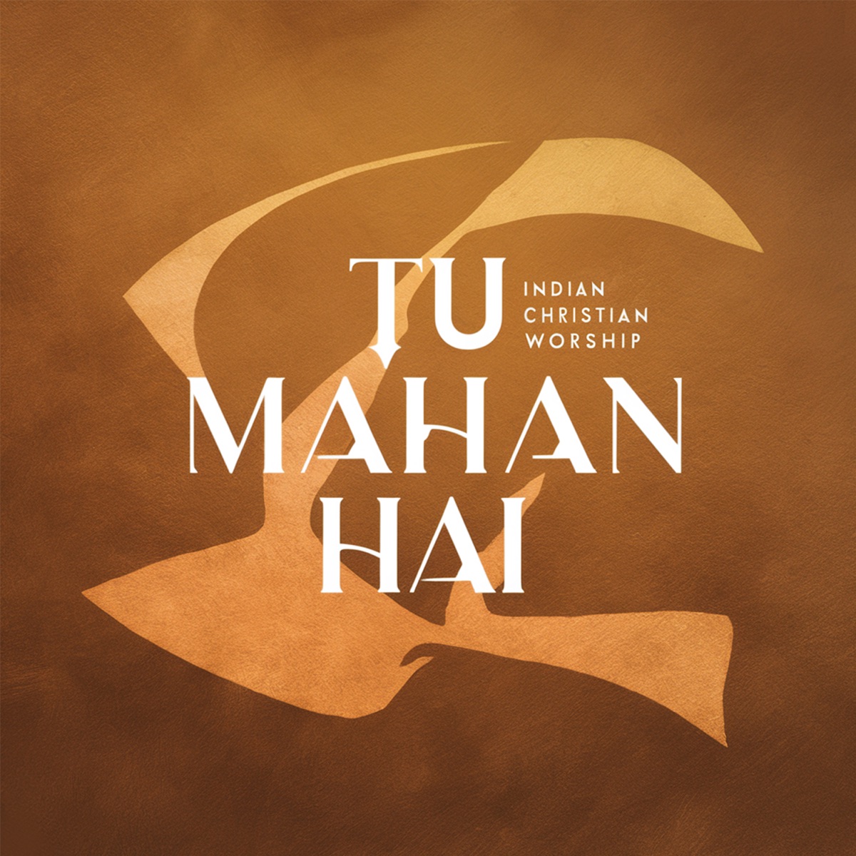 Tu Mahan Hai - Single by Aman album cover