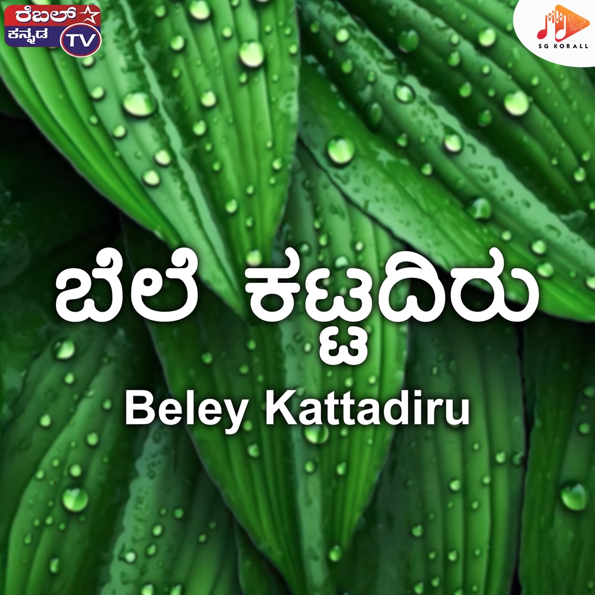 Beley Kattadiru - Single by Srihari Khoday, B Gopi & Rajesh Krishnan album cover