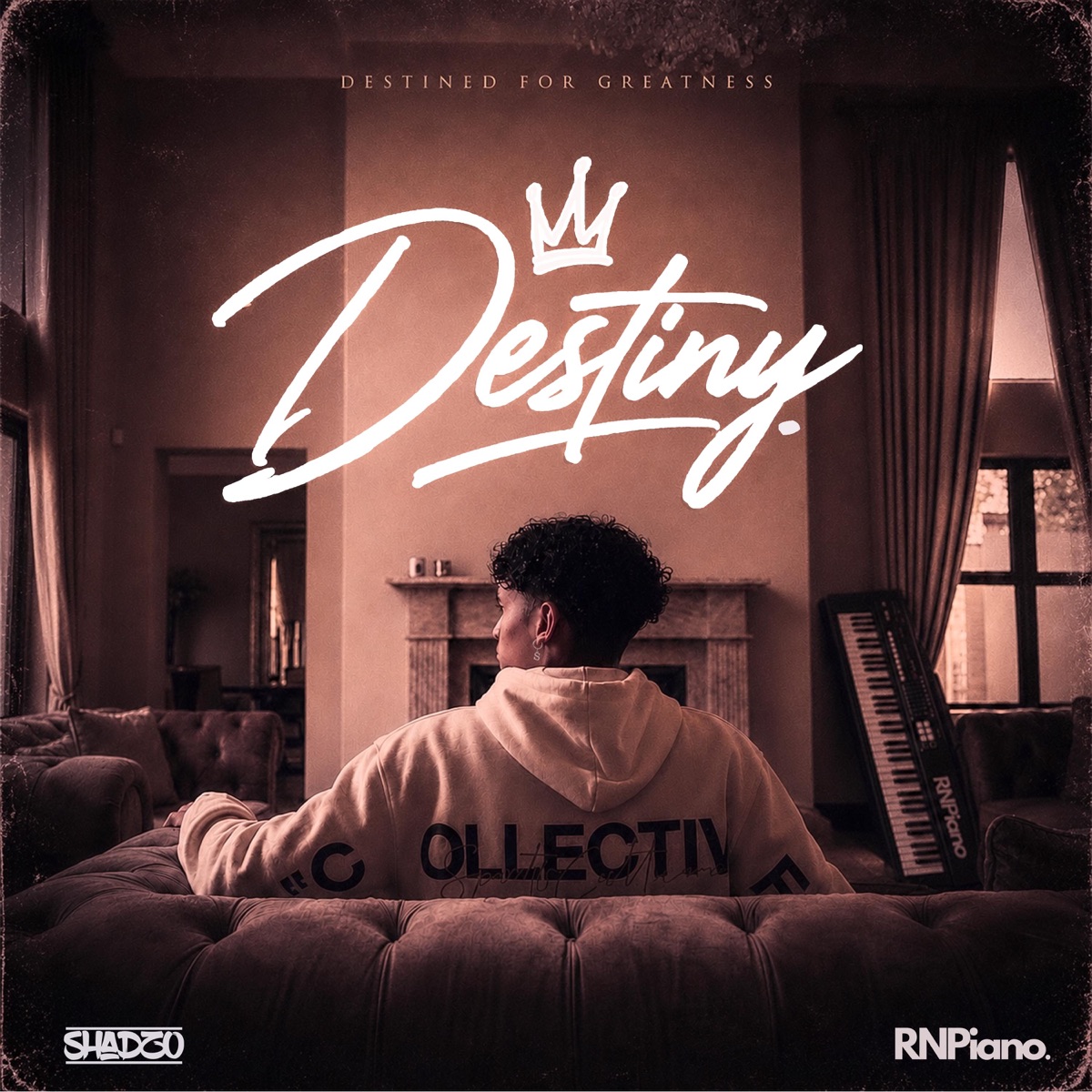 Destiny by Dj Shadzo album cover