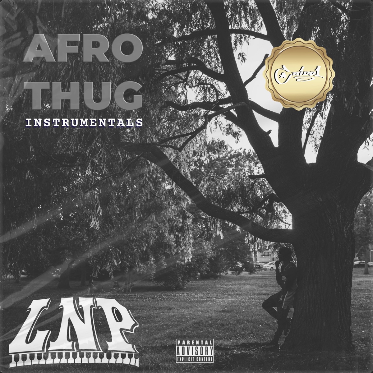 Afro Thug (Instrumentals) [Instrumental] by Chido1 album cover