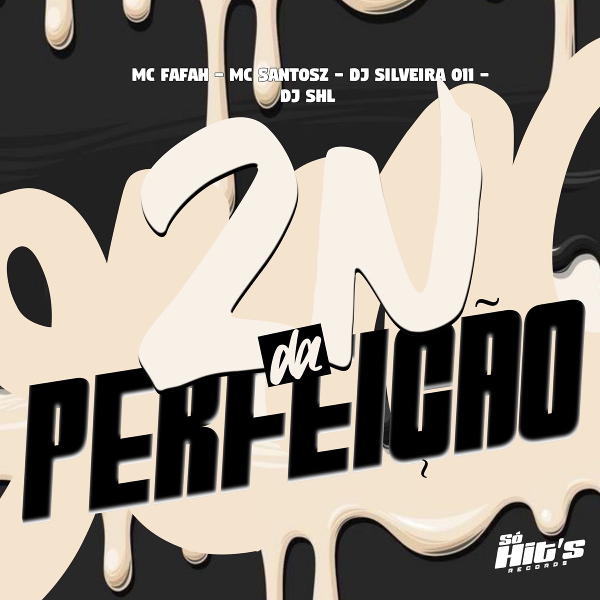 ZN da Perfeição - Single by Dj Silveira 011, DJ SHL, Mc Santosz & MC FAHAH album cover
