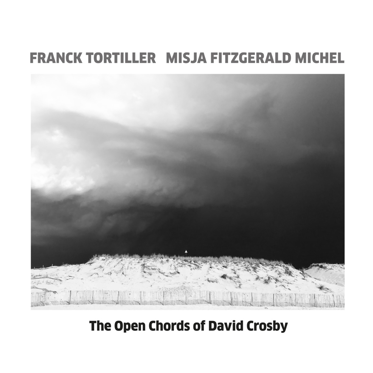 The Open Chords Of David Crosby by Franck Tortiller & Misja Fitzgerald Michel album cover