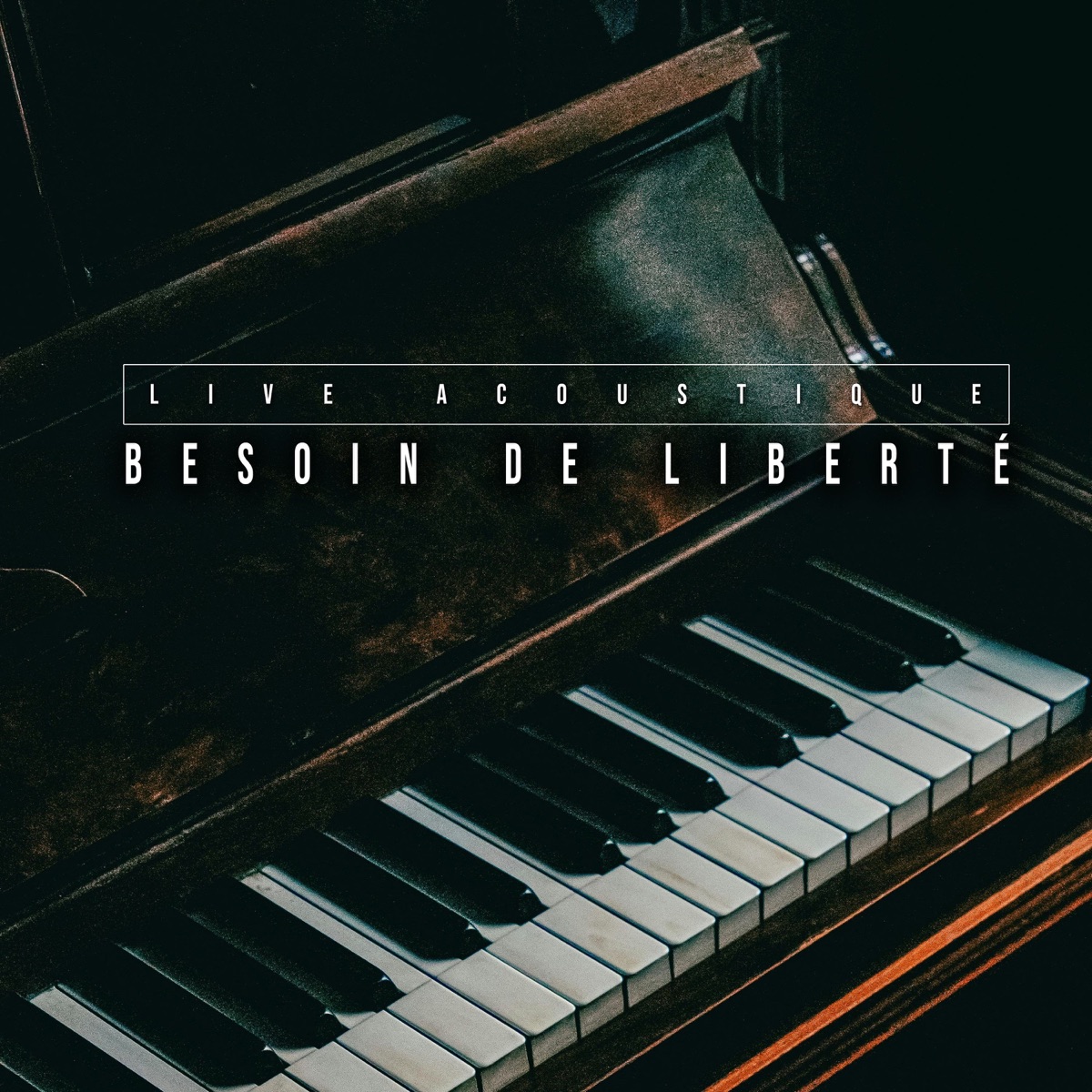 Besoin de liberté (Acoustique) - Single by Grezou & Selecta Antwan album cover