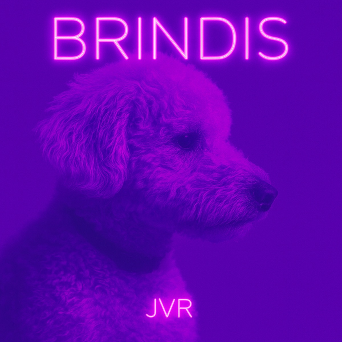 Brindis - Single by JVR album cover
