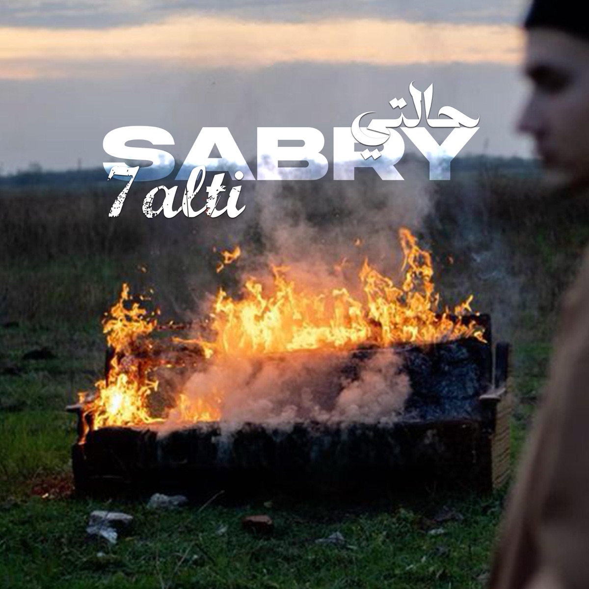 Halty - Single by Sabry album cover