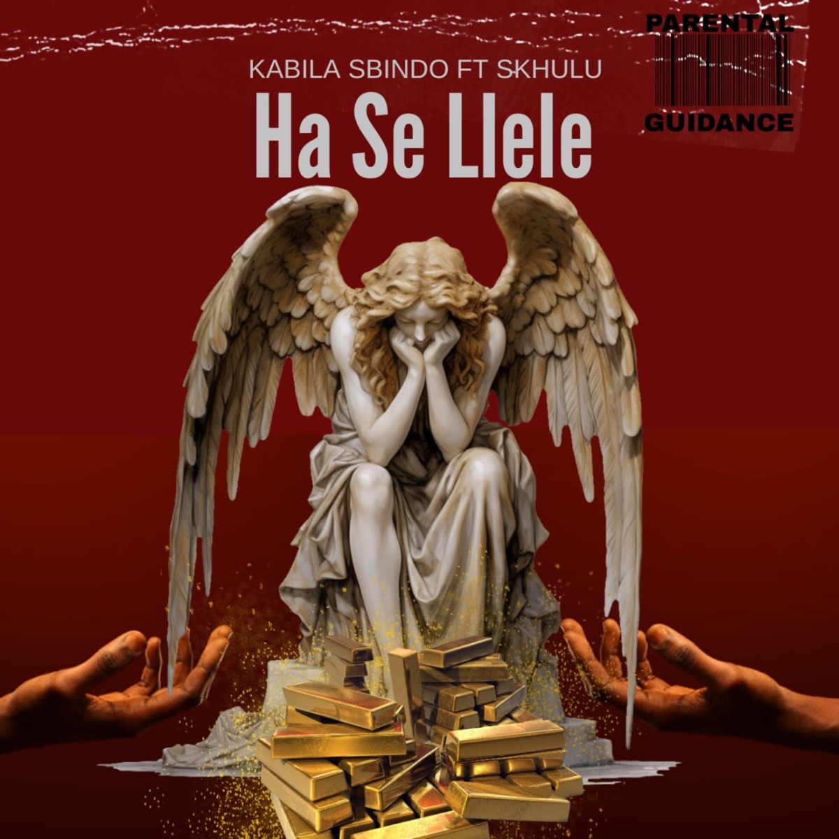 Ha Se Llele (feat. Skhulu) - Single by Pro-T album cover