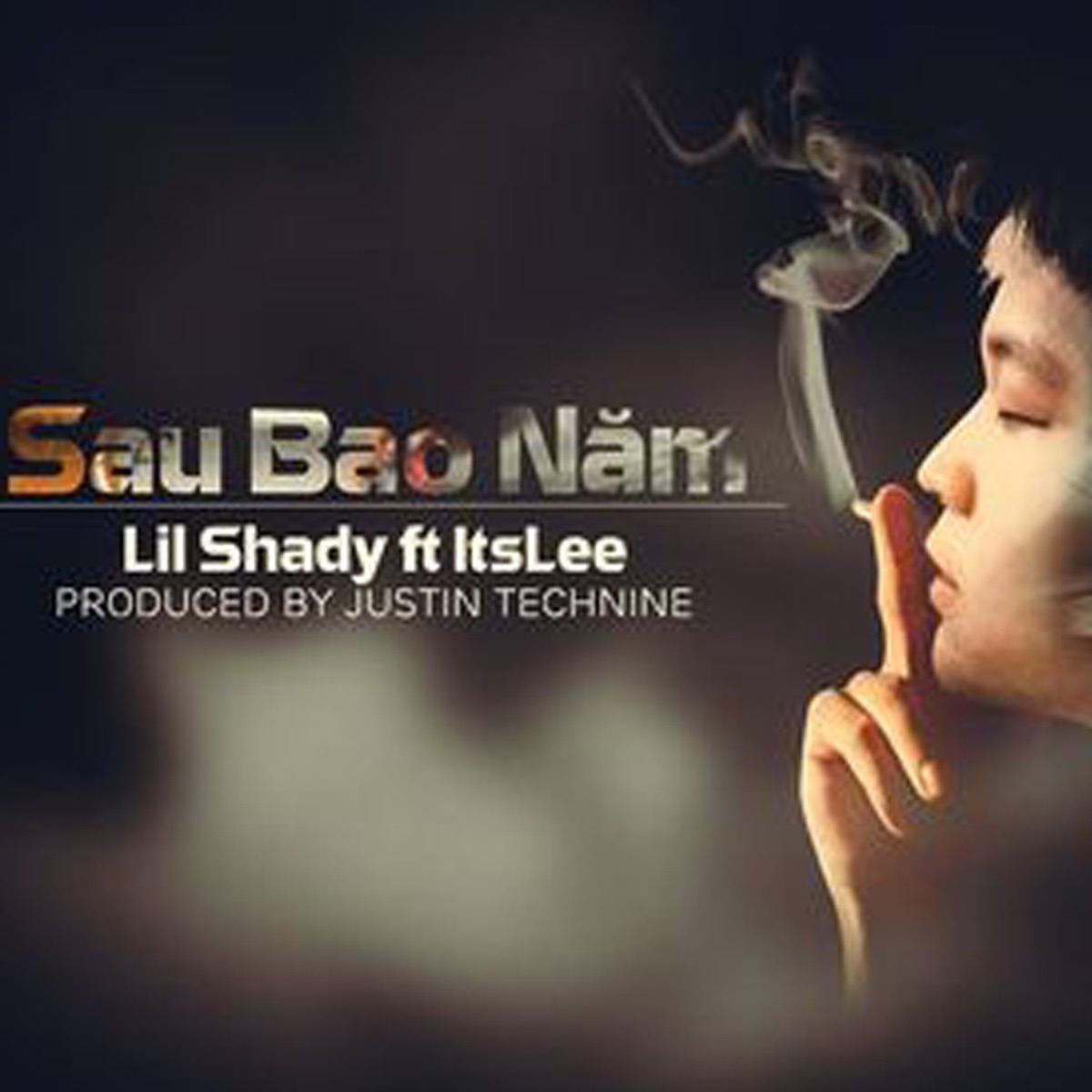 Sau Bao Năm - Single by Lil Shady & It's Lee album cover