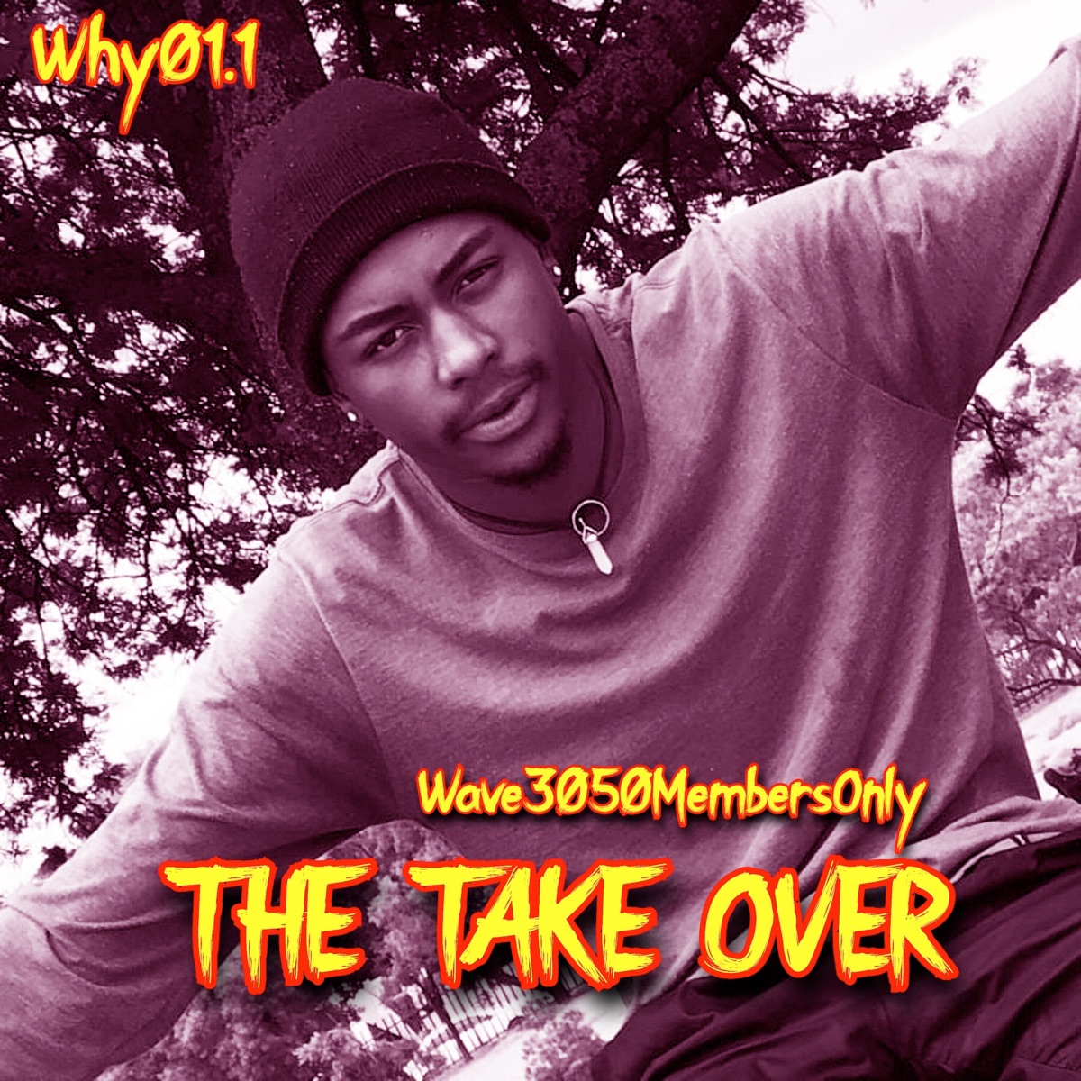 Wave3050MembersOnly The Take Over by Why01.1 album cover