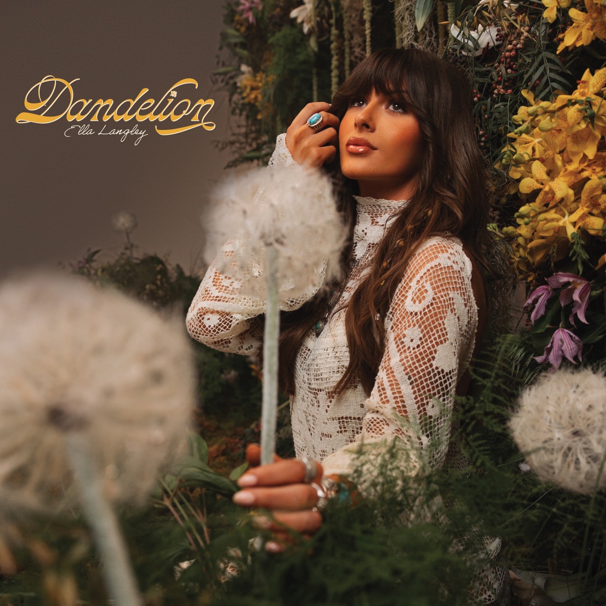 Dandelion by Ella Langley album cover artwork