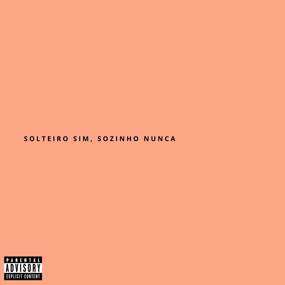 Solteiro sim, sozinho nunca - Single by SNIF album cover