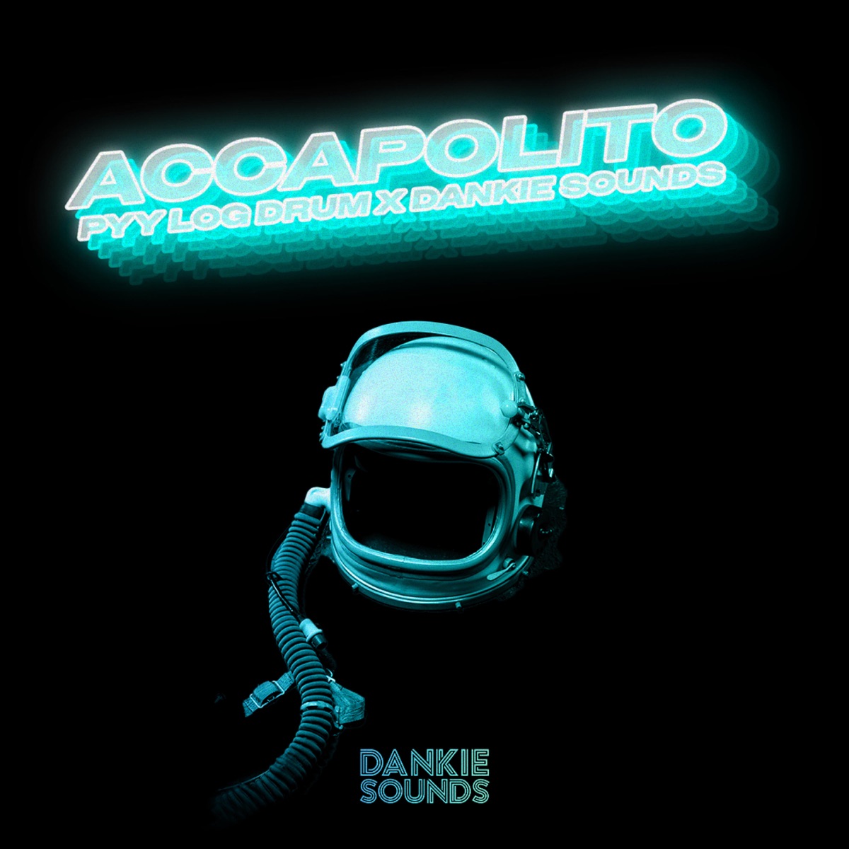 ACCAPOLITO - Single by Dankie Sounds album cover