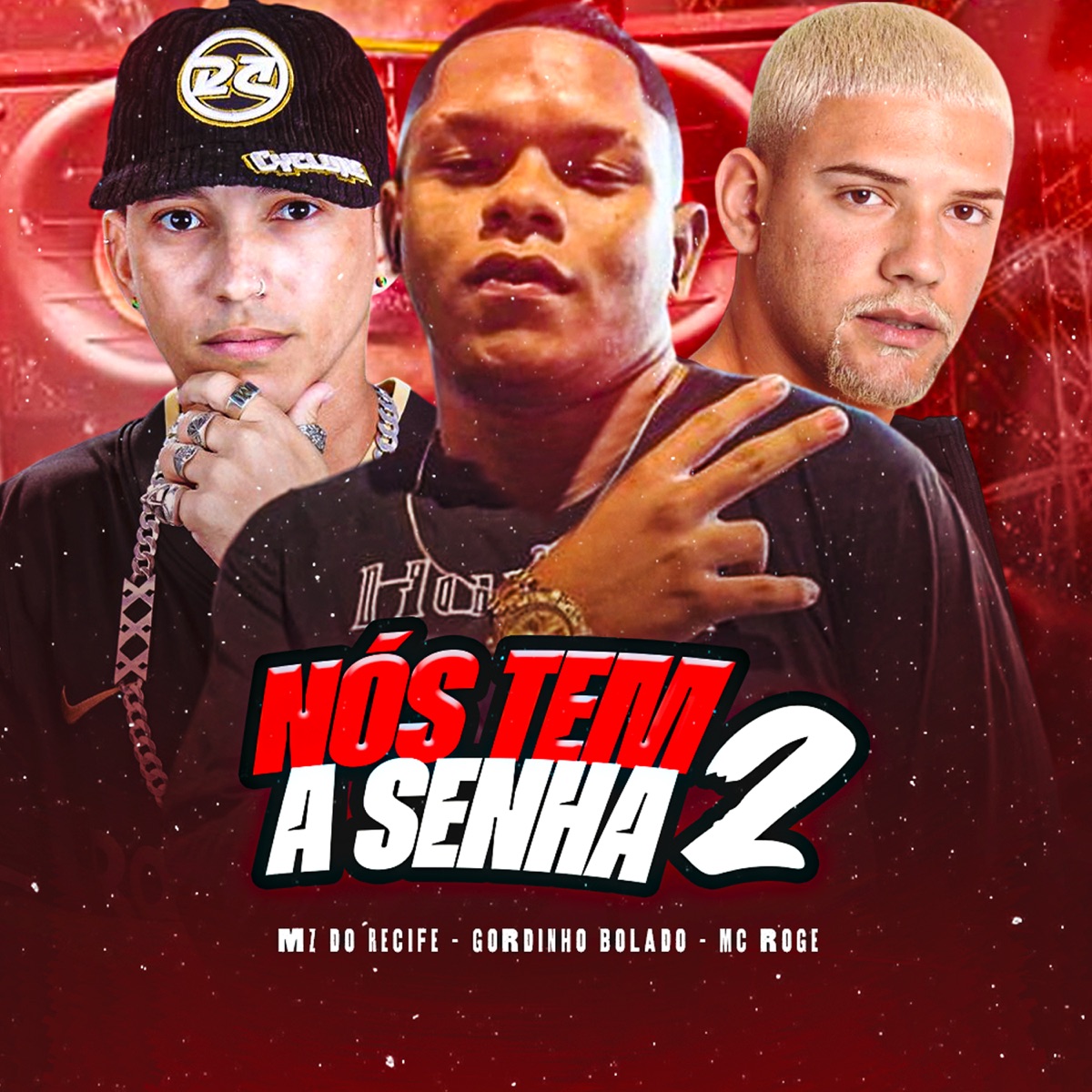 Nós Tem a Senha 2 (feat. MC Rogê) - Single by Gordinho Bolado & Mz do Recife album cover