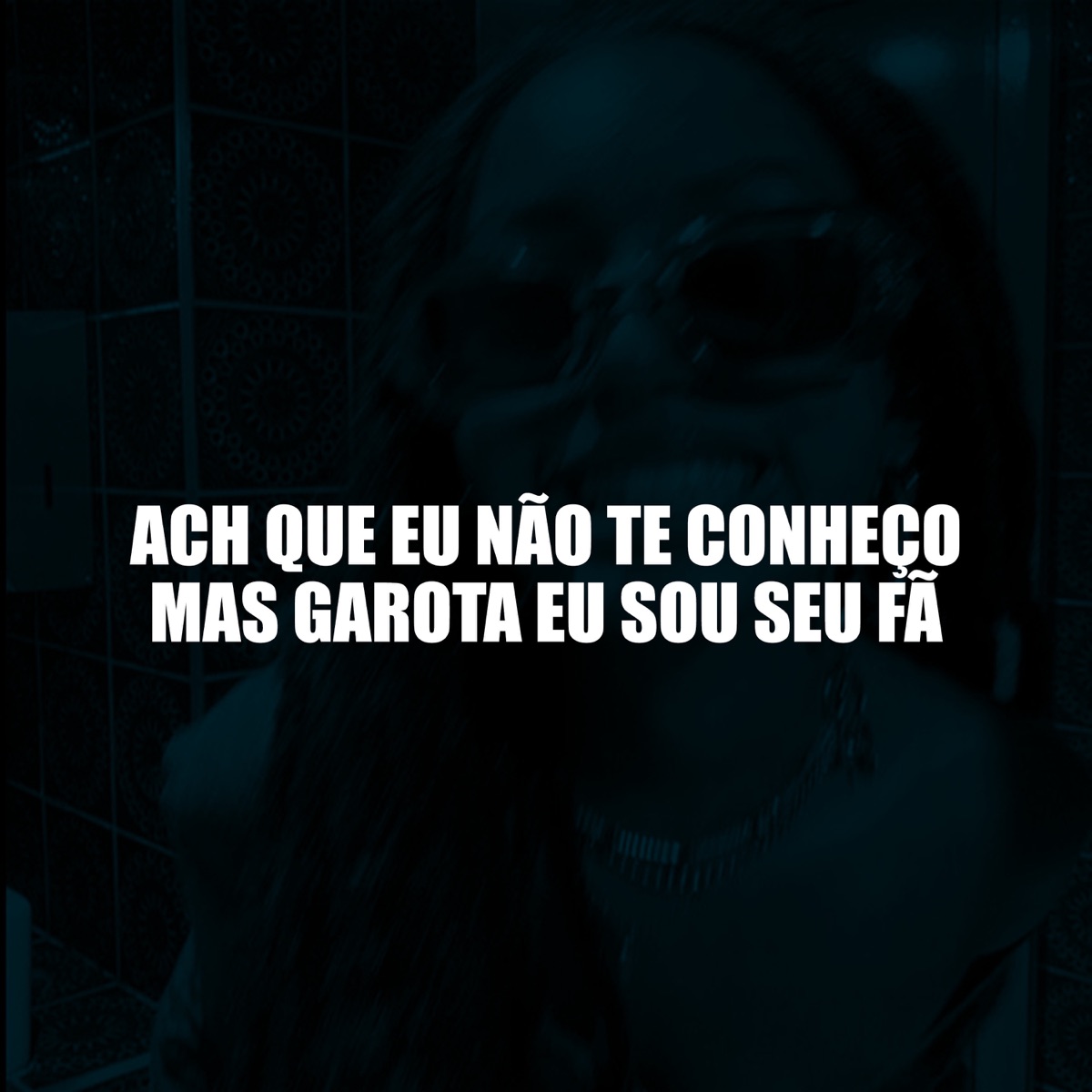 Acha Que Eu Não Te Conheço Mas Garota Eu Sou Seu Fã - Single by DJ LC DO SP OFICIAL album cover