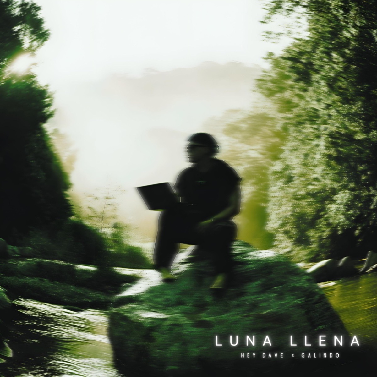 Luna llena - Single by Hey Dave & Galindo album cover