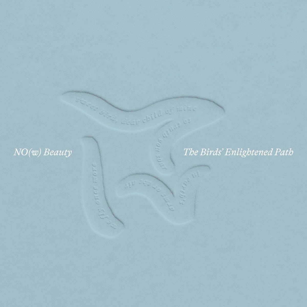 The Birds' Enlightened Path (feat. Sam Amidon) - Single by Hermon Mehari, NO(w) Beauty & Enzo Carniel album cover