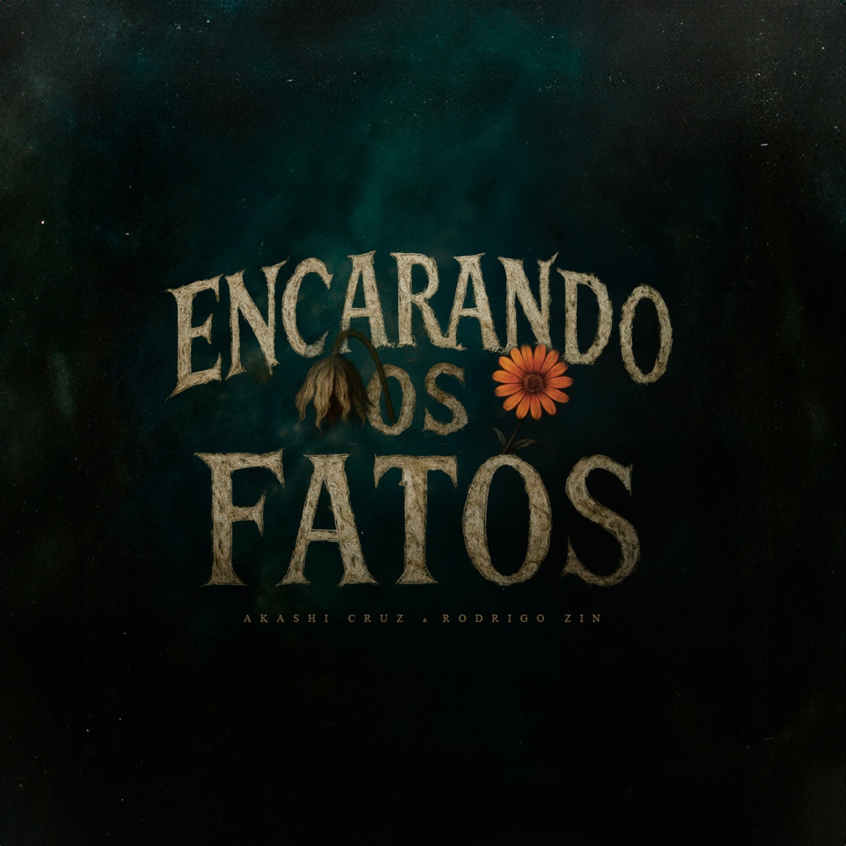 Encarando os Fatos - Single by Akashi Cruz & Rodrigo Zin album cover
