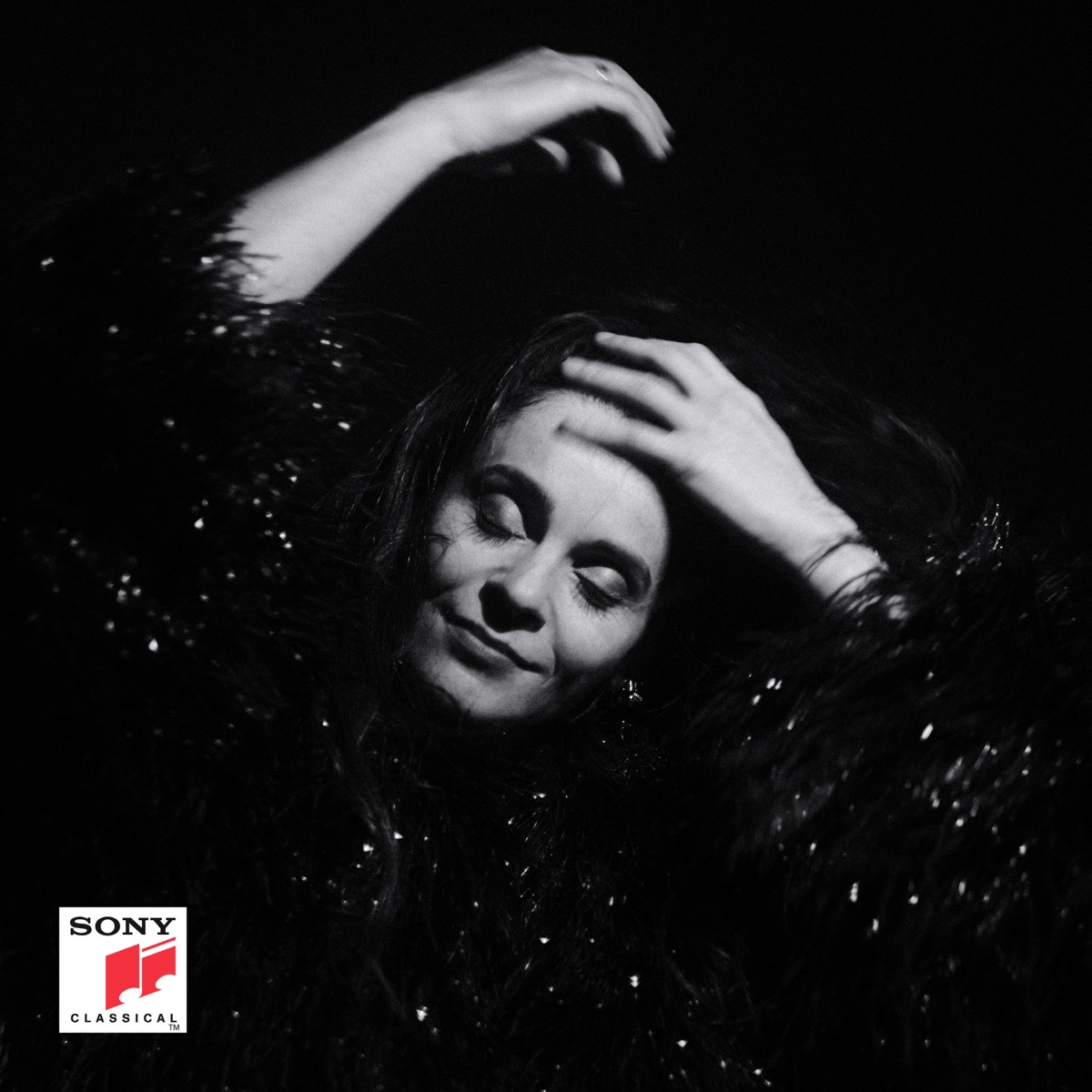 La dame brune - Single by Noëmi Waysfeld, Fabien Cali & Maxime Le Forestier album cover