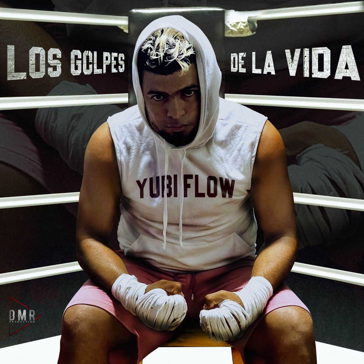 Los Golpes De La Vida - Single by Yubi flow album cover