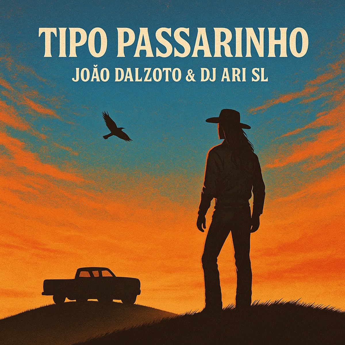 Tipo Passarinho - Single by João Dalzoto & DJ Ari SL album cover